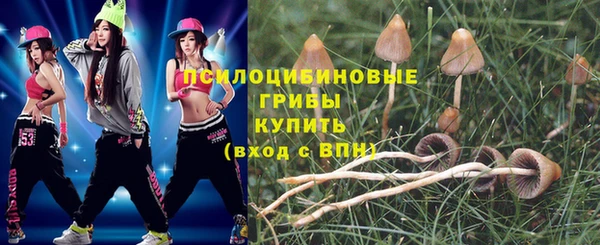 твердый Билибино
