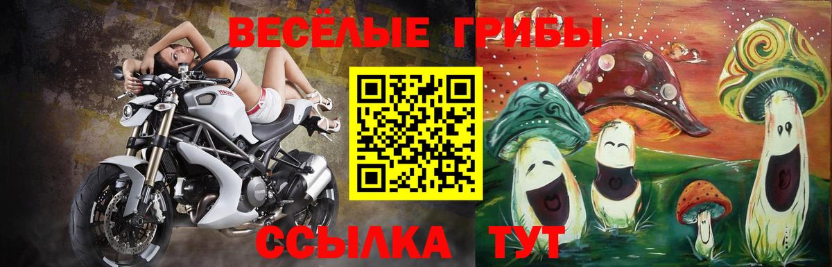 Галлюциногенные грибы мицелий  Вход с VPN  Казань 